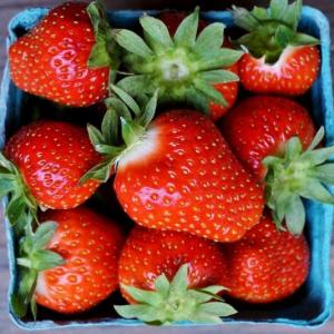 strawberries. Multiple product options available: 5