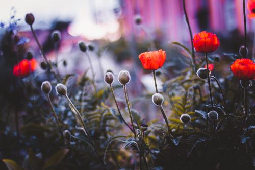 Источник: syxanka.tumblr.com/post/147430771108 Источник: syxanka.tumblr.com/post/147430771108