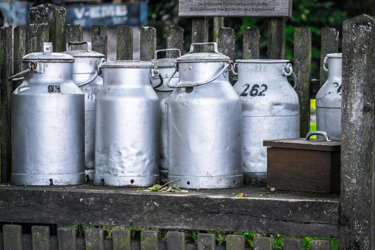 Raw Milk Vs Pasteurized