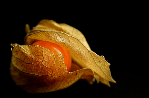 Источник: www.flickr.com/photos/81950116@N07/10913252684/in/ Источник: www.flickr.com/photos/81950116@N07/10913252684/in/