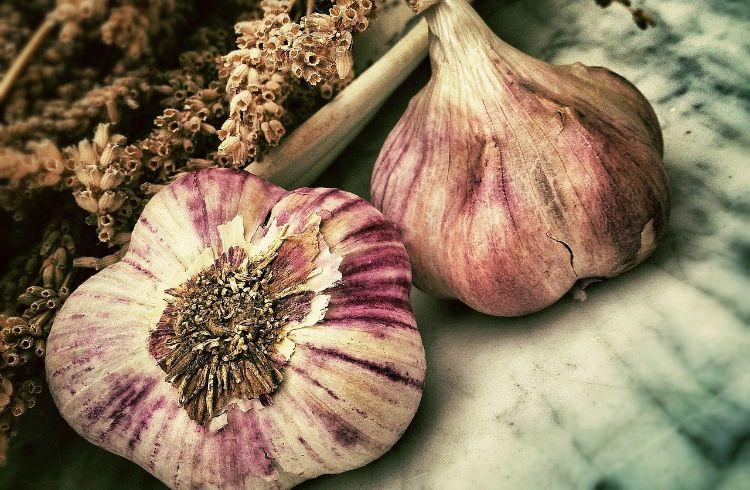 Источник: www.pixabay.com/ Источник: www.pixabay.com/