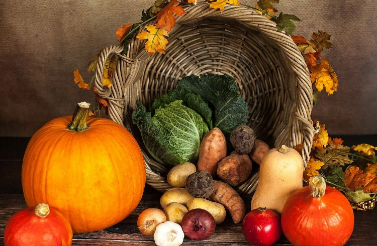 Источник: www.pixabay.com Источник: www.pixabay.com