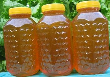 Мёд горный Алтайский