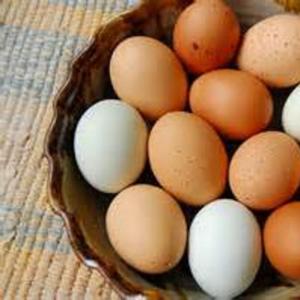 Chicken Eggs. Multiple product options available: 3