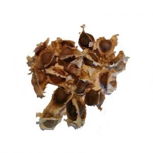 Moringa Seeds, Dried, Conventional