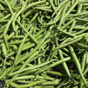 Produce- Greens Beans