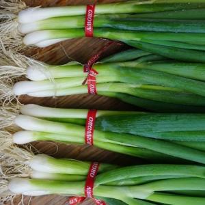 scallions. Multiple product options available: 2