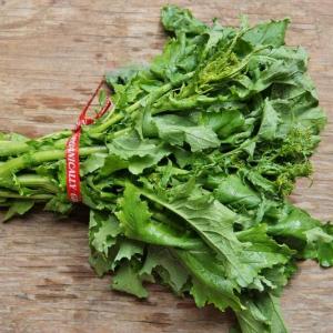 rapini. Multiple product options available: 2