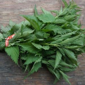 stinging nettle. Multiple product options available: 2