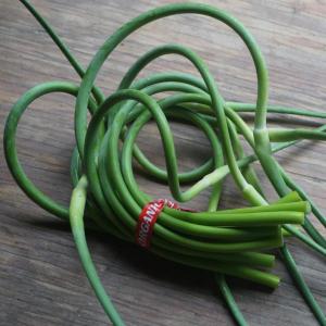 garlic scapes. Multiple product options available: 2