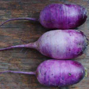 radish - daikon purple. Multiple product options available: 3