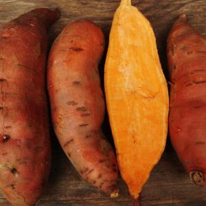 sweet potato - covington. Multiple product options available: 4