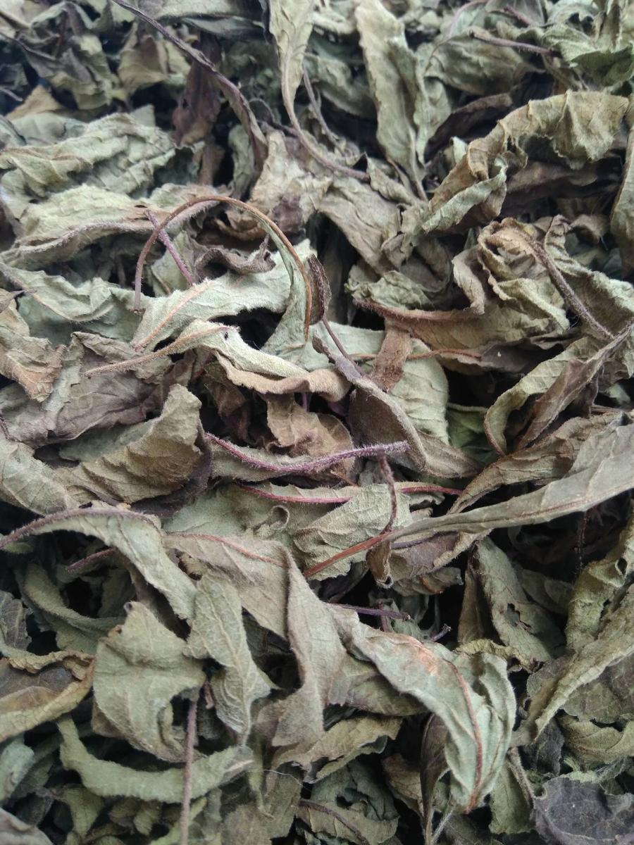 Ghanaian Sun Dried Nunum Efirin Scent Leaves Bulk African