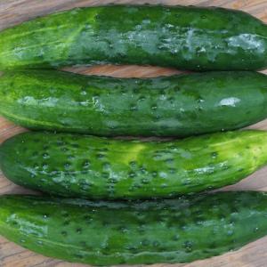 cucumbers - green. Multiple product options available: 2