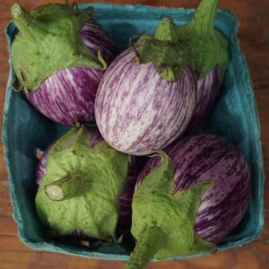 eggplant - small variegated. Multiple product options available: 2