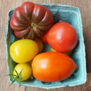 tomatoes - all mix. Multiple product options available: 4