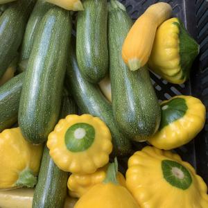 Produce- Summer Squash . Multiple product options available: 3