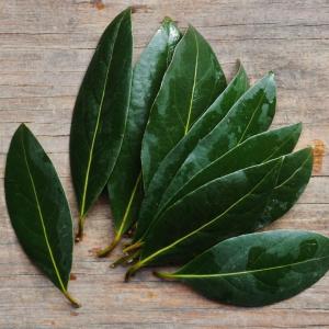 bay leaves. Multiple product options available: 2