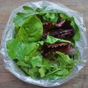 mesclun mix. Multiple product options available: 3