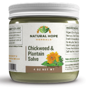 NHH -- Chickweed and plantain salve. Multiple product options available: 2