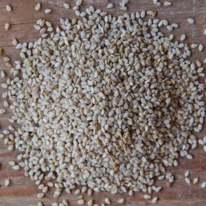 sesame seeds. Multiple product options available: 4