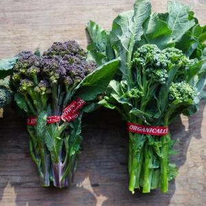 broccolini. Multiple product options available: 2