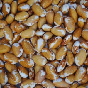 dry beans - southwest gold. Multiple product options available: 4