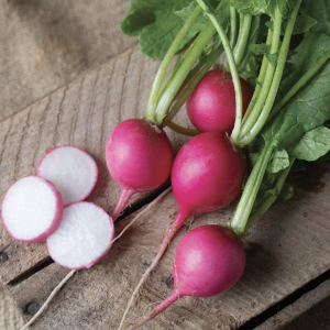 Delicious Red Radishes