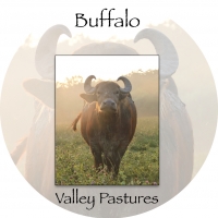 Buffalo Valley Pastures